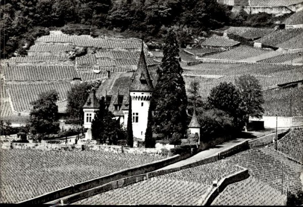 unbekanntes Haus im Weingut, Flugaufnahme Vorderseite