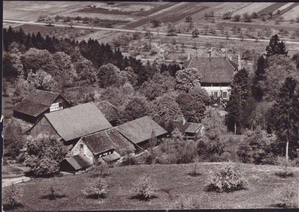 Schloss Wellenberg bei Frauenfeld,  Flugaufnahme Vorderseite