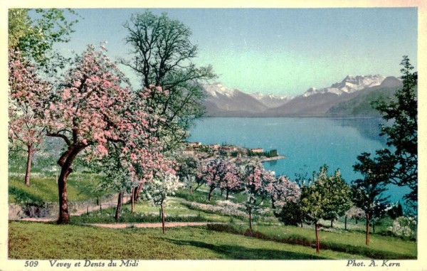 Vevey, Dents du Midi Vorderseite