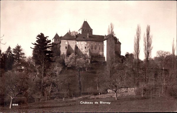 Schloss Blonay Vorderseite