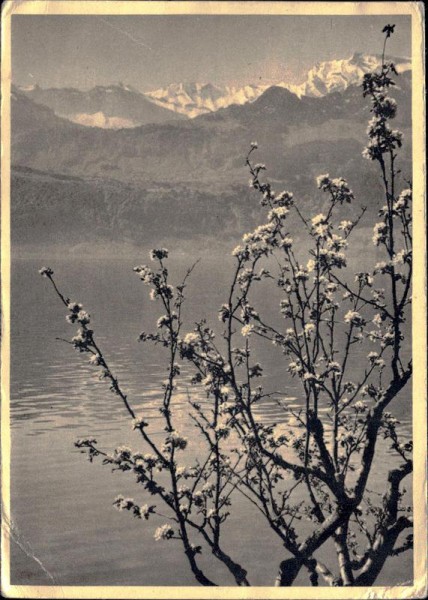 Frühling am Vierwaldstättersee, Rudolf Pestalozzi Vorderseite