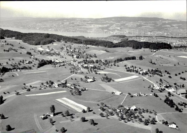 Spitzen-Hirzel, Flugaufnahme Vorderseite