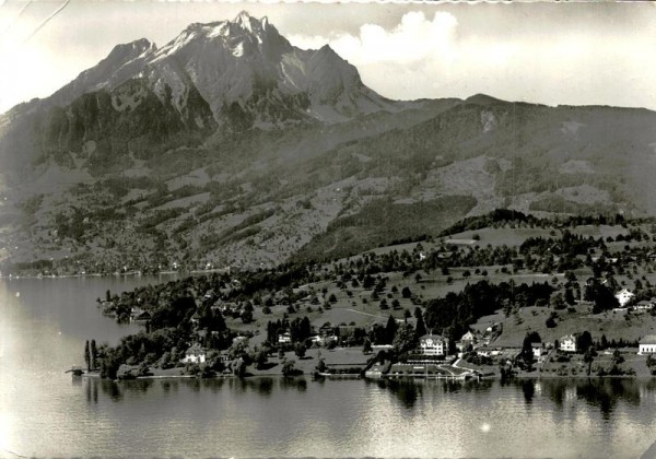 Hotel Kastanienbaum Vierwaldstättersee Vorderseite