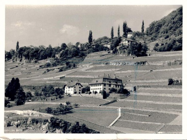 1071 Chexbres VD, Route de Vevey 11 -Domaine des Faverges Vorderseite