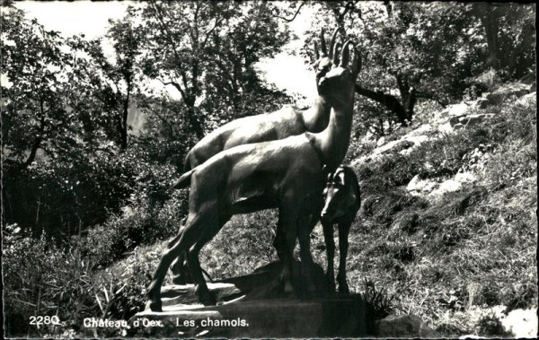 Château-d’Œx - Les chamois Vorderseite