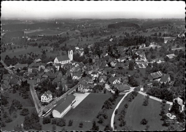 Waldkirch, Flugaufnahme Vorderseite