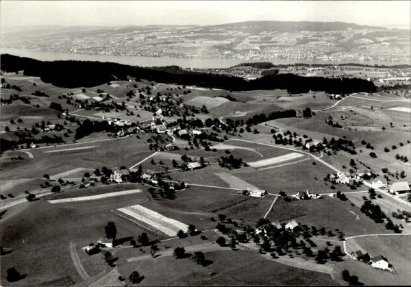 Spitzen-Hirzel, Flugaufnahme Vorderseite