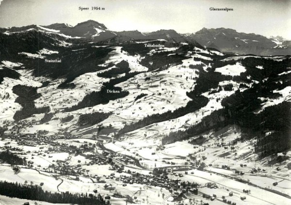 Tanzboden und Speer mit Blick gegen die Glaneralpen, Ebnat- Kappel Vorderseite