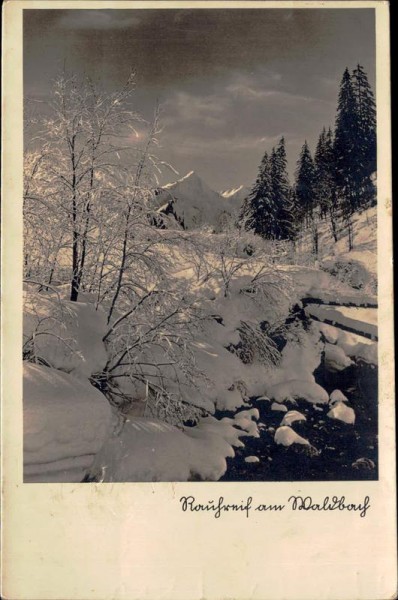 Rauhreif am Waldbach Vorderseite