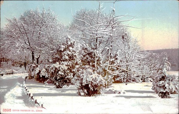 unbekannte Winterlandschaft Vorderseite